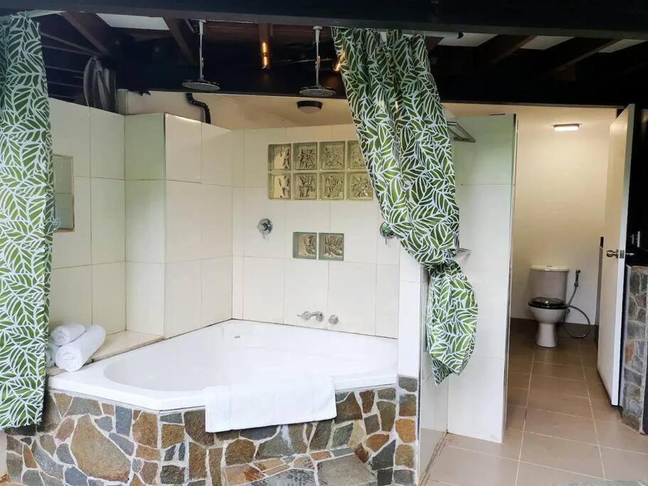 Treeverb Beach House - Daintree Cow Bay ภายนอก รูปภาพ